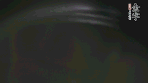 剝去外殼的筍、切花刀的香菇、豌豆入沸水焯水。