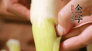 茭白剝去外殼，先切片再切絲。