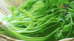 挑選鮮嫩的香菜，洗干凈后，處理成小段。