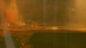 雞肉、鹽、料酒入冷水鍋水開后撇去浮沫，溫水洗凈。